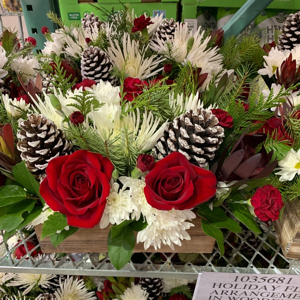 Meet your Posher, Lusine